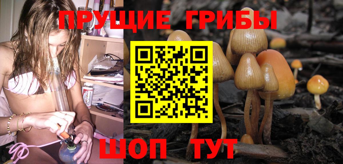 где продают наркотики  Галлюциногенные грибы Cubensis  Галлюциногенные грибы Cubensis  Вход с VPN  Красногорск 